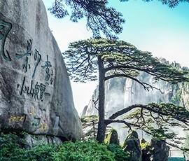 苏州省政府网站集约化平台