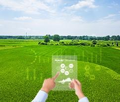 舒城县经开区青墩村“数字乡村云平台